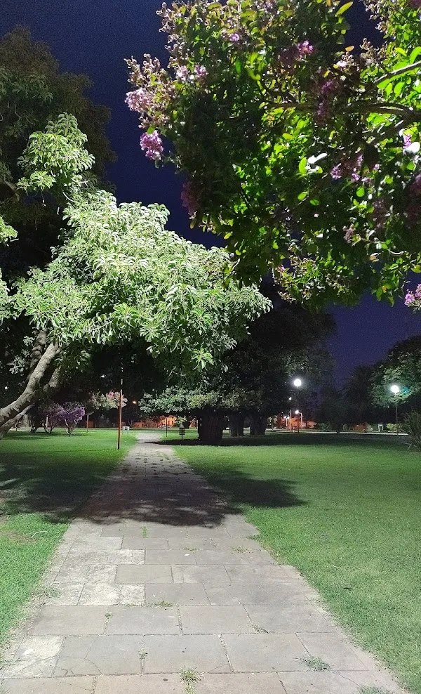 Henderson · Plaza11